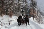 Ferie z parafią św. Elżbiety